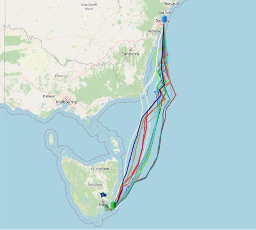 Success at the 56th ORC Congress