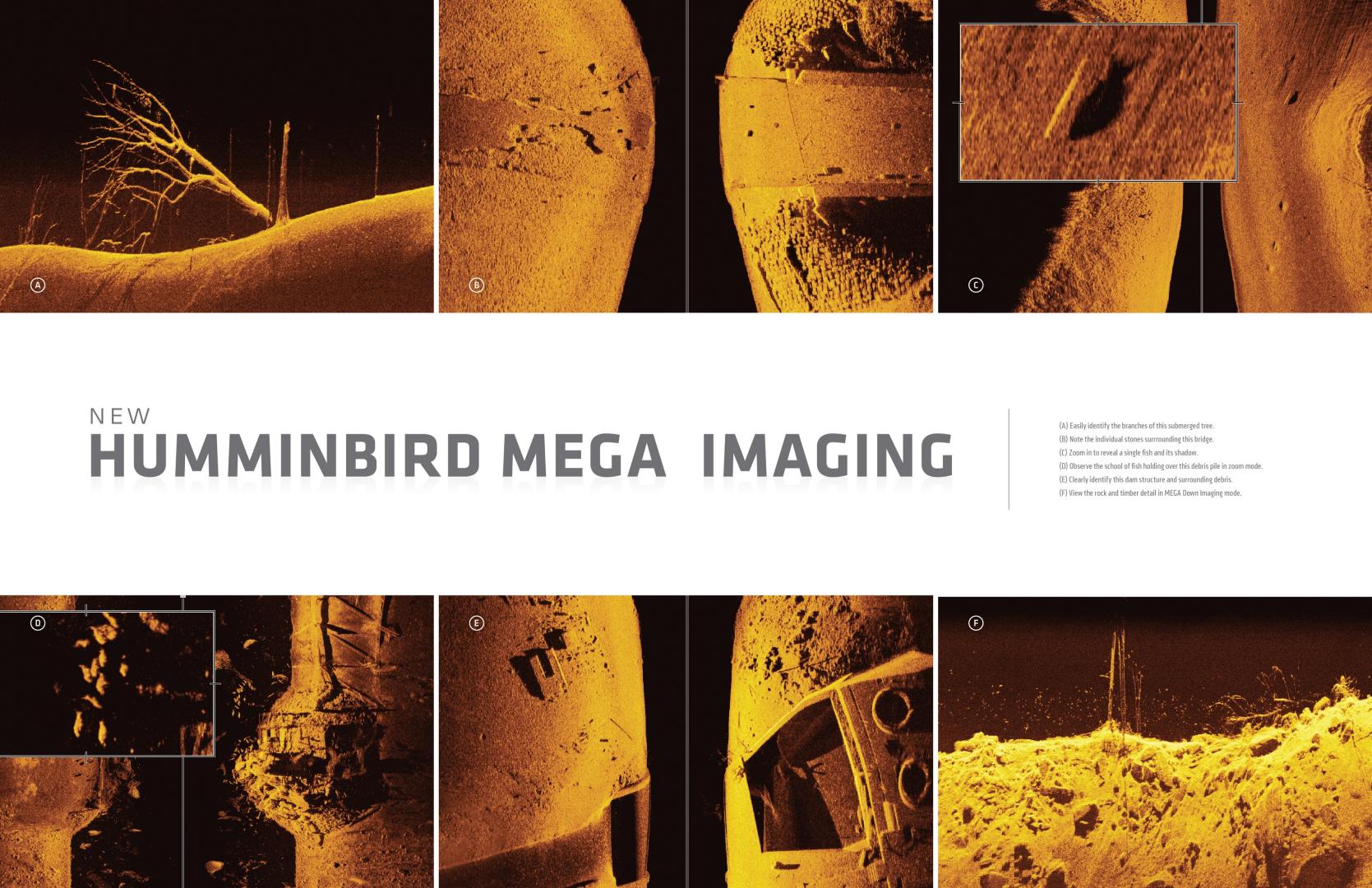Pressmare  Fishfinder: Humminbird Introduces MEGA Imaging at METSTRADE 2016