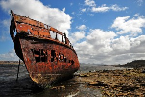 Samson, Isole Falkland/Malvine, Atlantico meridionale (credit: Stefano Benazzo)