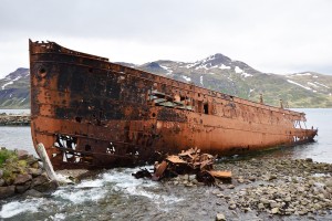 SS Suourland, Djupavik, Islanda (credit: Stefano Benazzo)