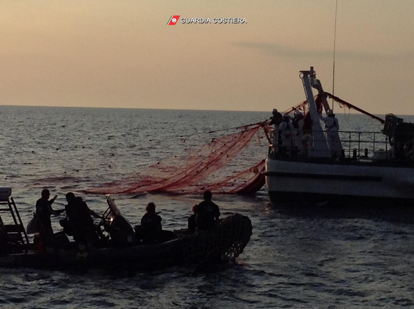 Guardia Costiera – sequestrati 350 kg. di prodotto ittico e 5.000 metri di rete derivante