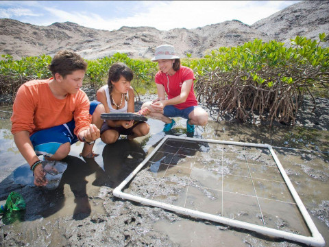 Ocean Discovery Institute students conduct field research