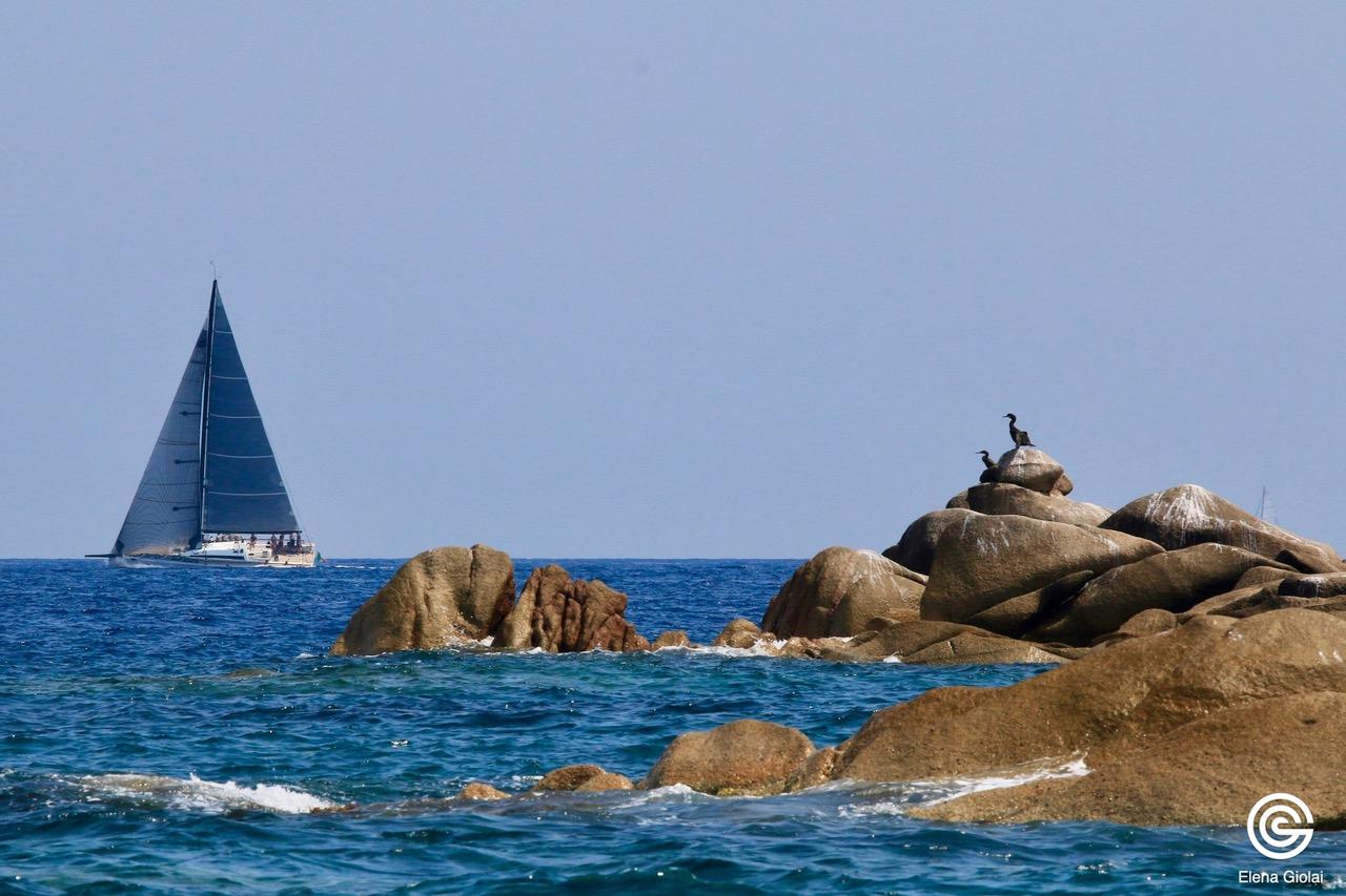 For The Sea - Trofeo Formenton