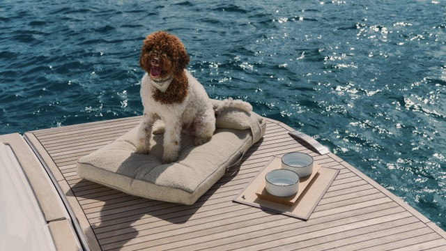 Navigare in stile con il kit Poldo Dog Couture per Pardo Yachts