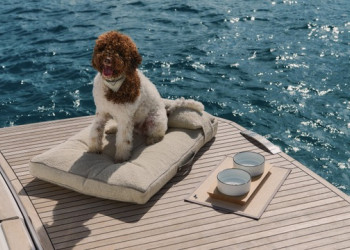 Navigare in stile con il kit Poldo Dog Couture per Pardo Yachts