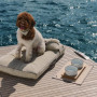 Navigare in stile con il kit Poldo Dog Couture per Pardo Yachts