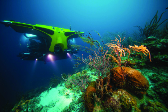 U-Boat Worx announces 5,000 dives on the Cruise Sub Series