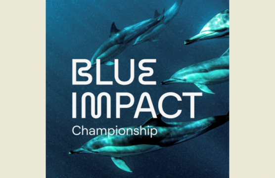 E1 launches Blue Impact Championship