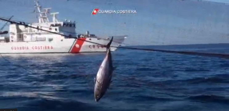 Guardia Costiera: Rapporto annuale controllo pesca – Anno 2023