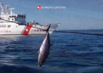 Guardia Costiera: Rapporto annuale controllo pesca – Anno 2023