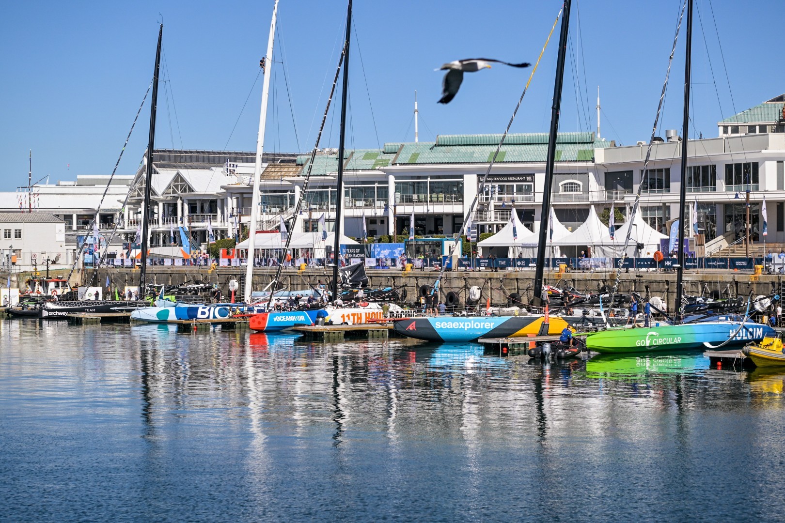 22 February 2023, IMOCA fleet moored in the pontoon at the Ocean Live Park in Cape Town.© Sailing Energy / The Ocean Race