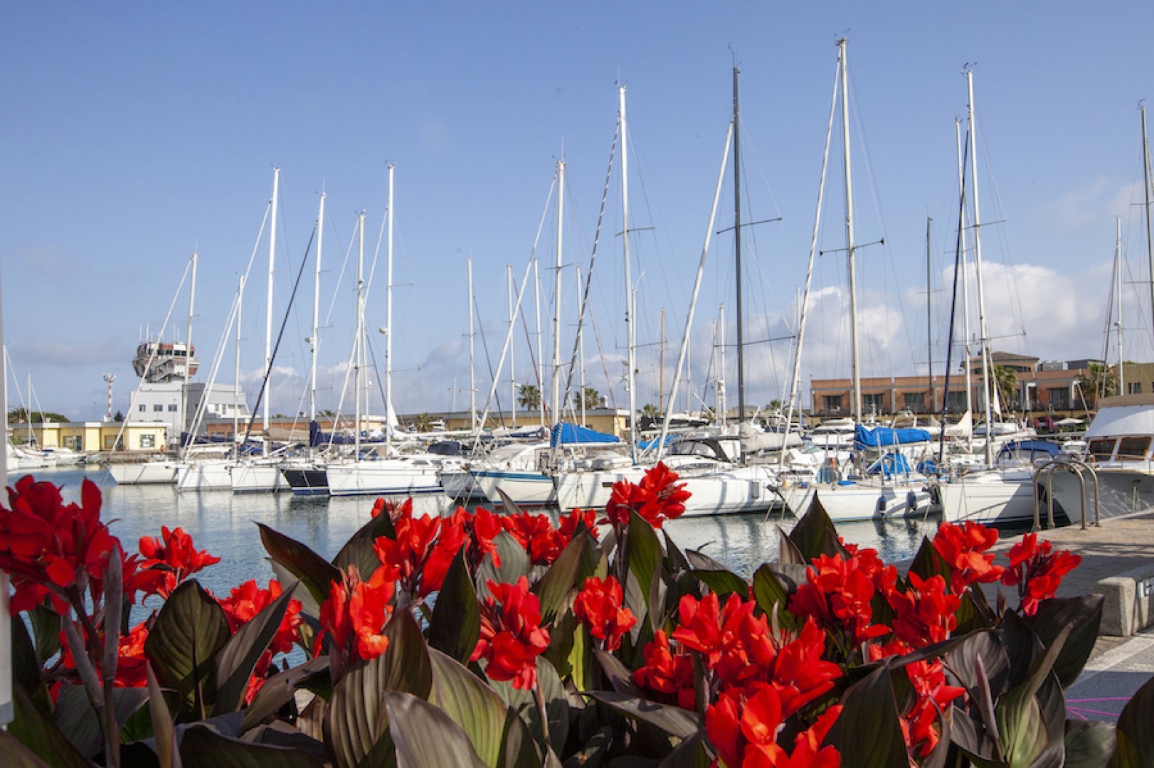 Yacht & Garden con Marevivo per la tutela degli ecosistemi e dei fondali marini liguri