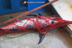 Contrasto alla pesca illegale: operazione della Guardia Costiera a largo delle isole Eolie