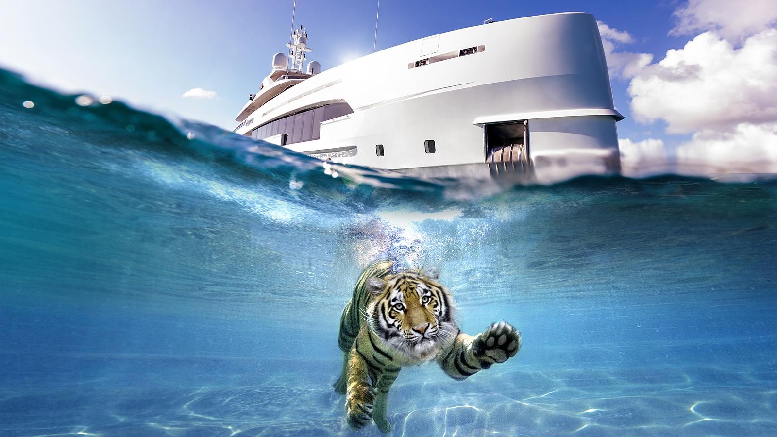 2022 the year of the Water Tiger: what's in store for Heesen