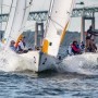 Trio of Team Races bring best and brightest to Newport every August