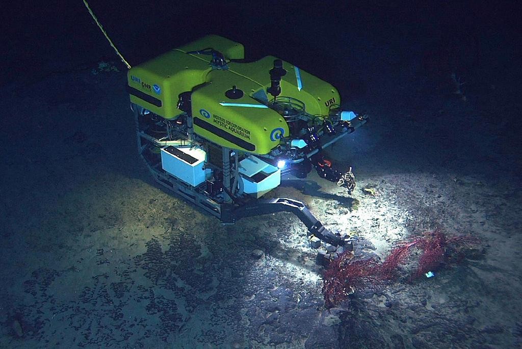 ROV (Remotely Operated Vehicle)