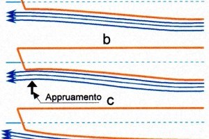 Figura 6: disegno schematico di sezioni longitudinali della forma di poppa di una carena