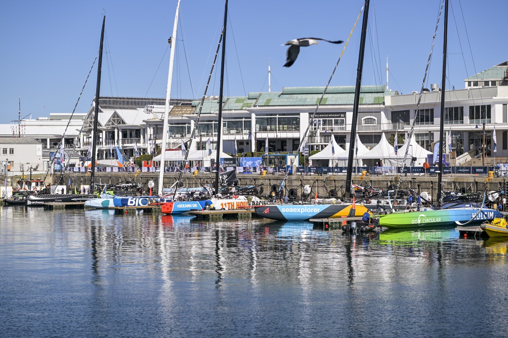 Imoca fleet moored in the pontoon at the Ocean Live Park in Cape Town.
© Sailing Energy / The Ocean Race