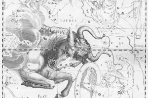 La costellazione del Toro di Johannes Hevelius