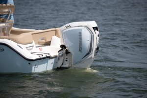 Die erweiterte Modellpalette von Evinrude soll Bootsfahrern mehr Vertrauen auf dem Wasser geben – in jeder   Situation.