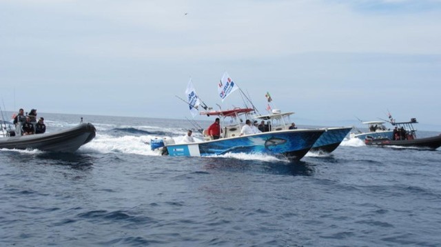 Suzuki Fishing Team