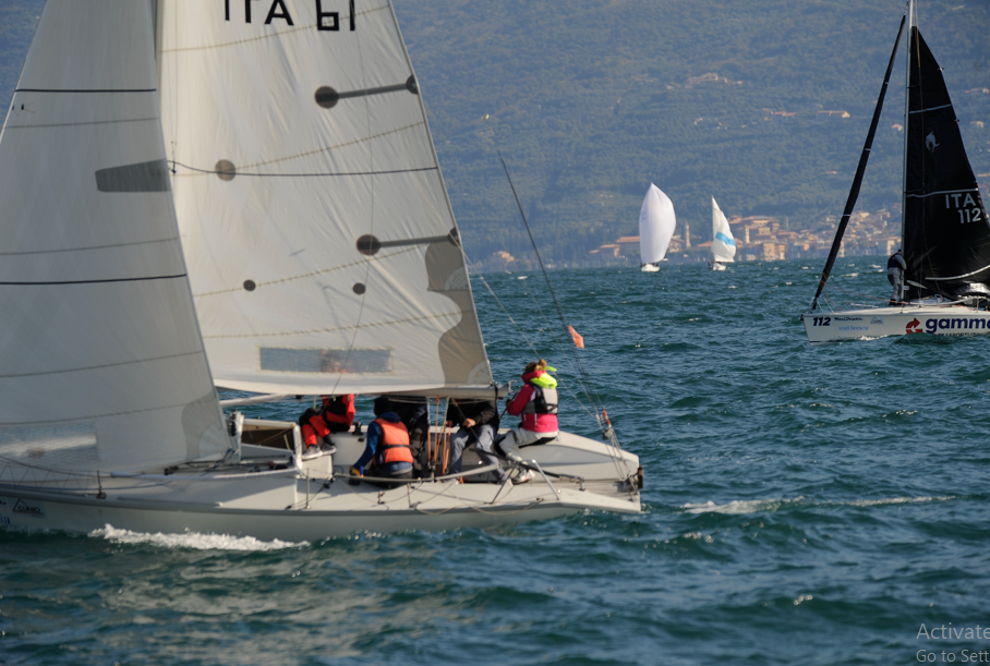 I dolphin esaltano il cimento di Desenzano del lago di Garda