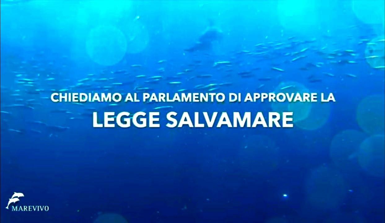 Appello del mondo del mare per l'approvazione della legge SalvaMare