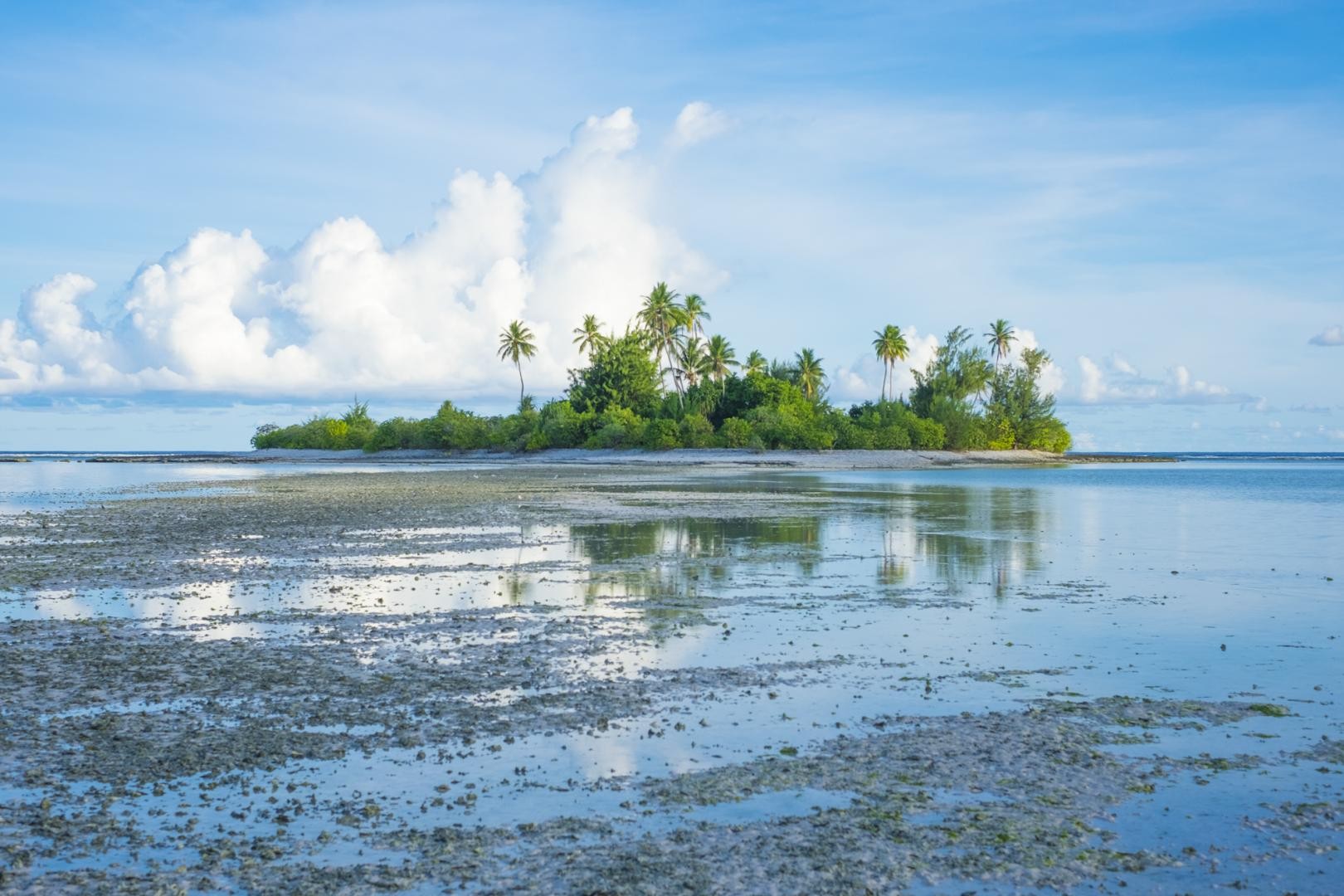 Cantiere delle Marche presenta Kiribati Floating Houses Competition