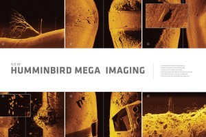 Alcune immagini che mettono in risalto la chiarezza e il dettaglio di MEGA Imaging, di Humminbird