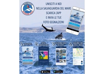 Occhio al Mare, l’app di Lega Italiana Vela e Divisione Vela Marevivo