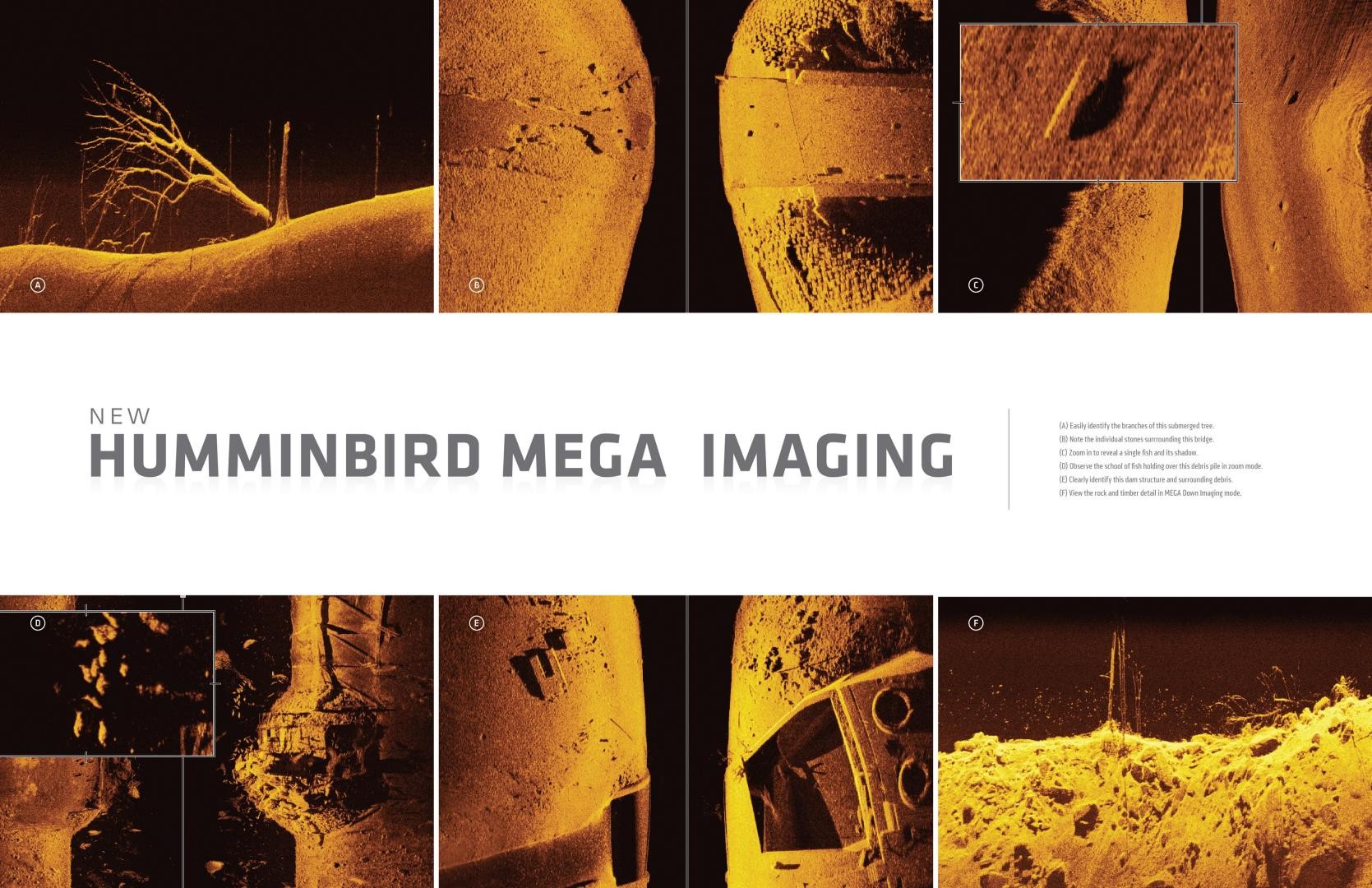 Alcune immagini che mettono in risalto la chiarezza e il dettaglio di MEGA Imaging, di Humminbird