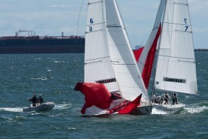 Congressional Cup gives sailors &  spectators a taste of the wild